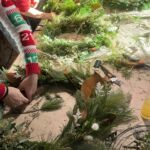 Holiday Wreath Making Workshop